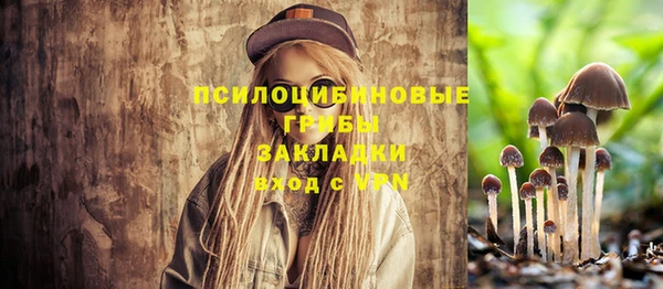 дмт Алексин